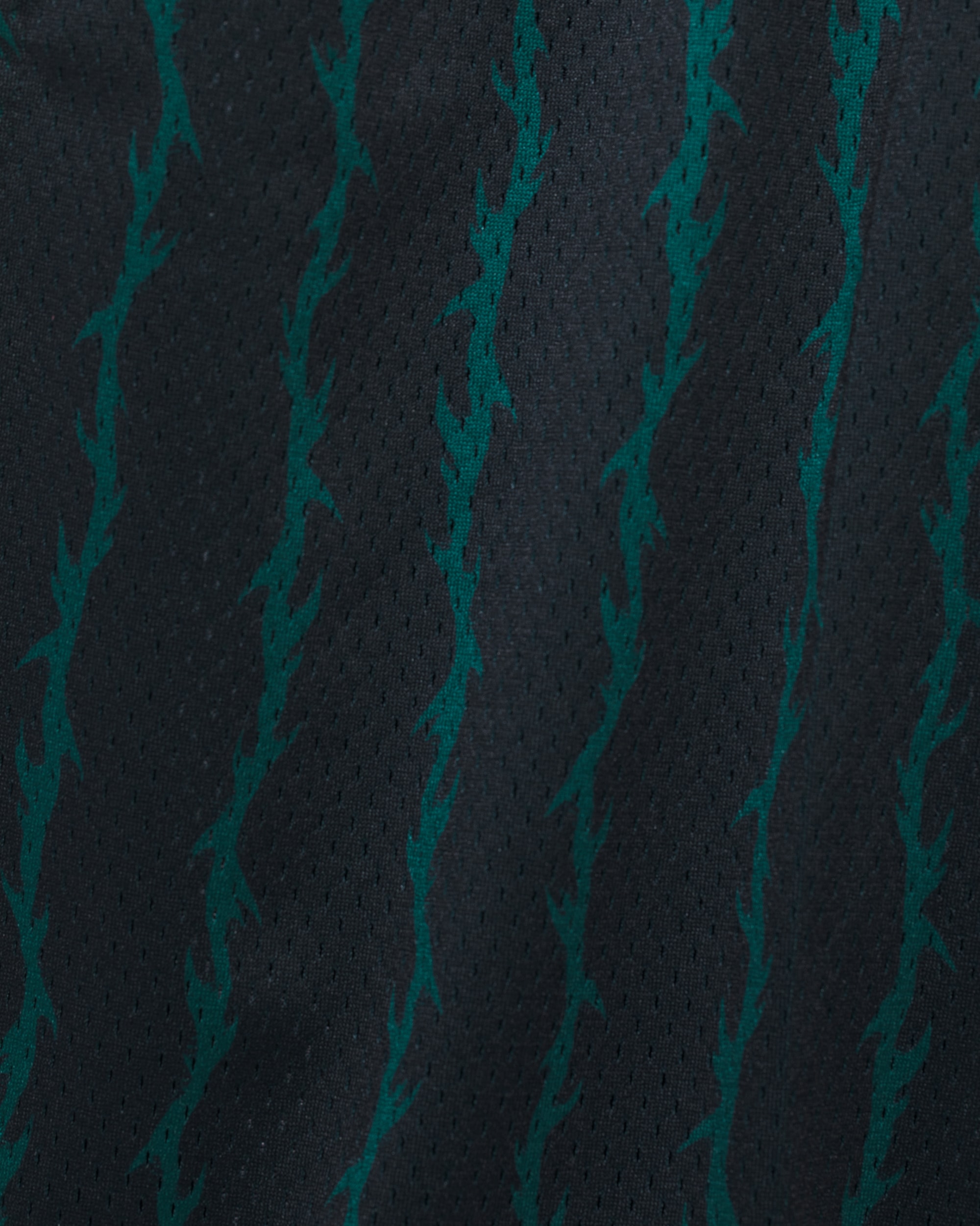 Skate Loose 20 Sport Shorts VANS Black ALT5