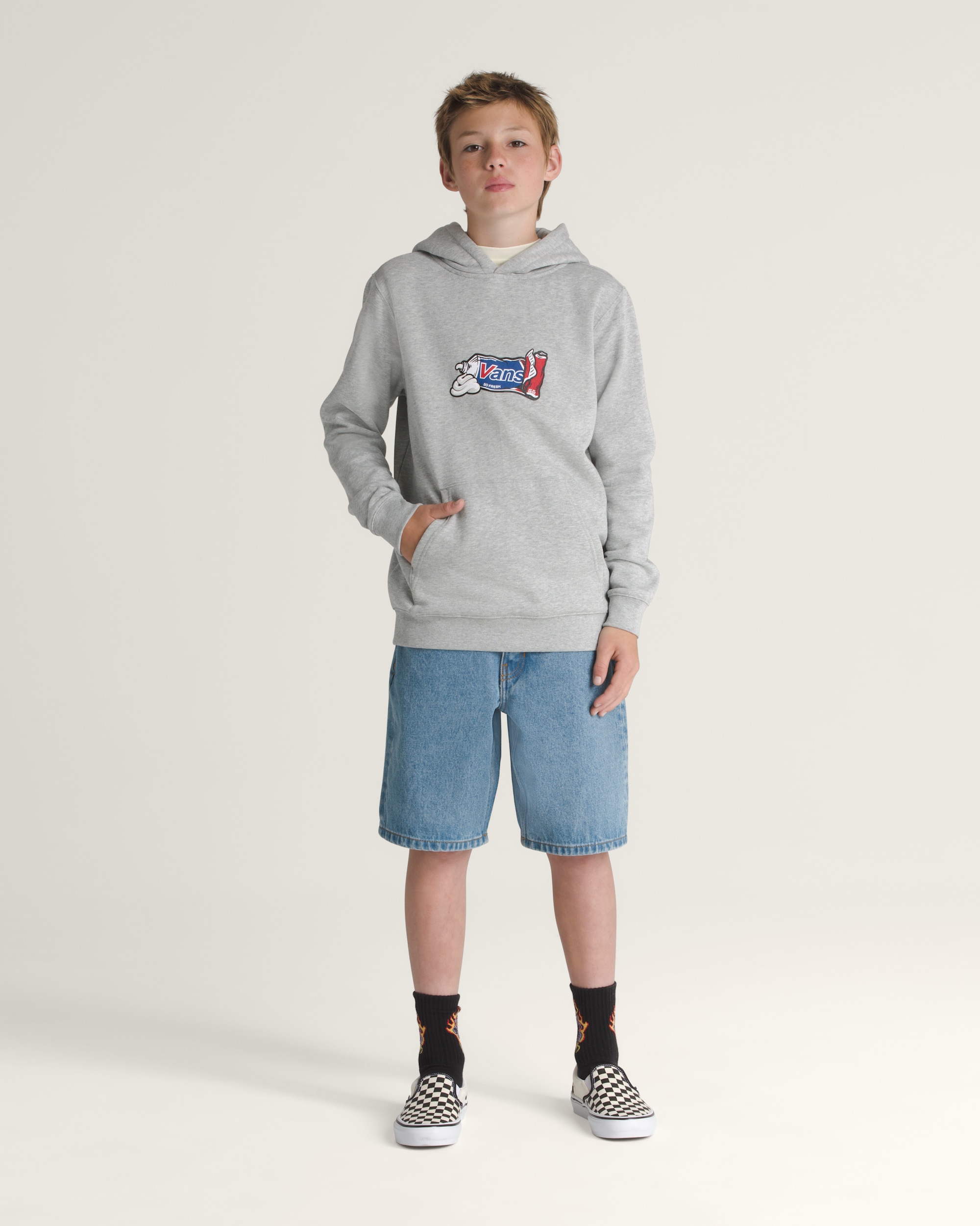 Kids Fresh Pullover Hoodie VANS Heather Grey ALT2