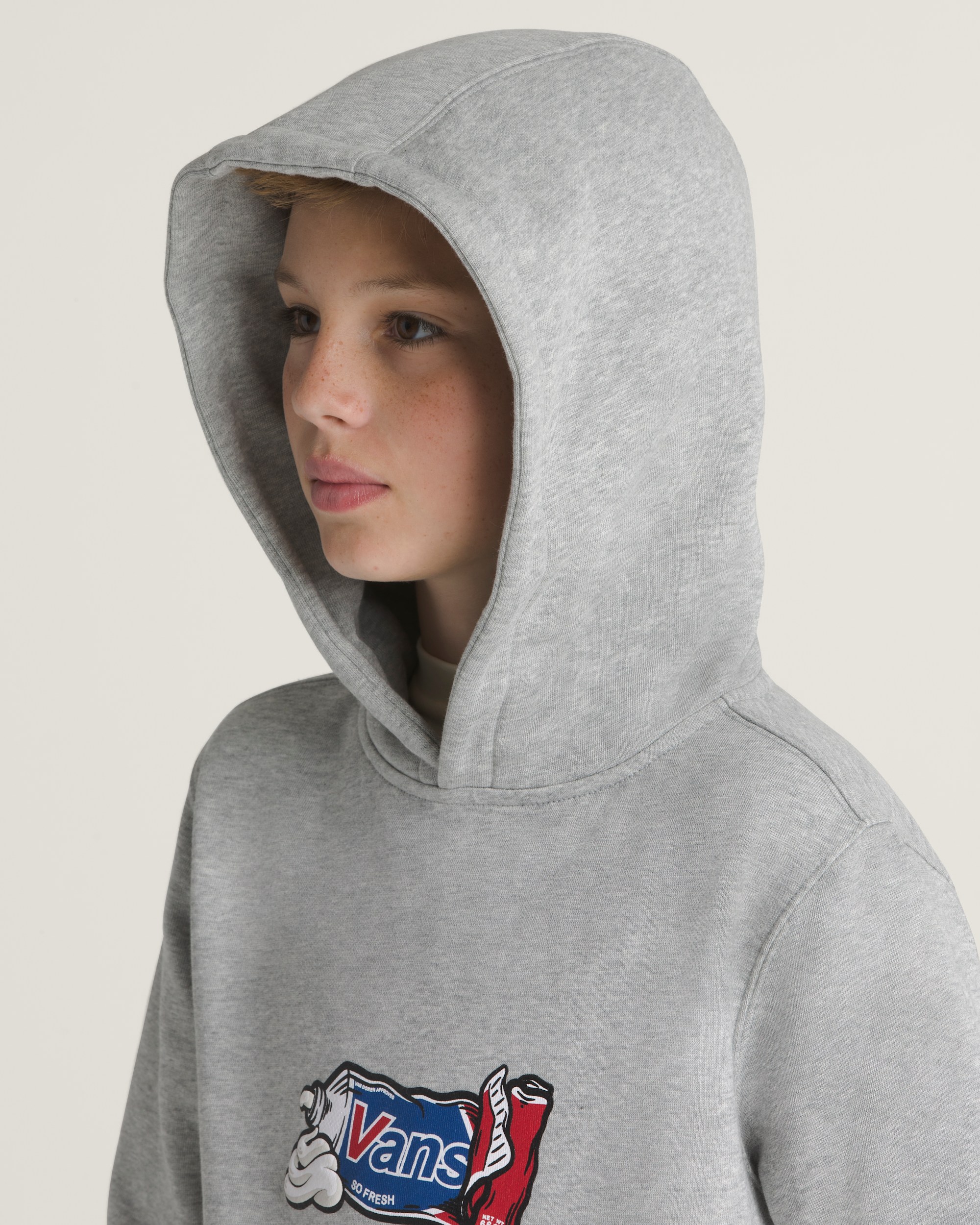Kids Fresh Pullover Hoodie VANS Heather Grey ALT3