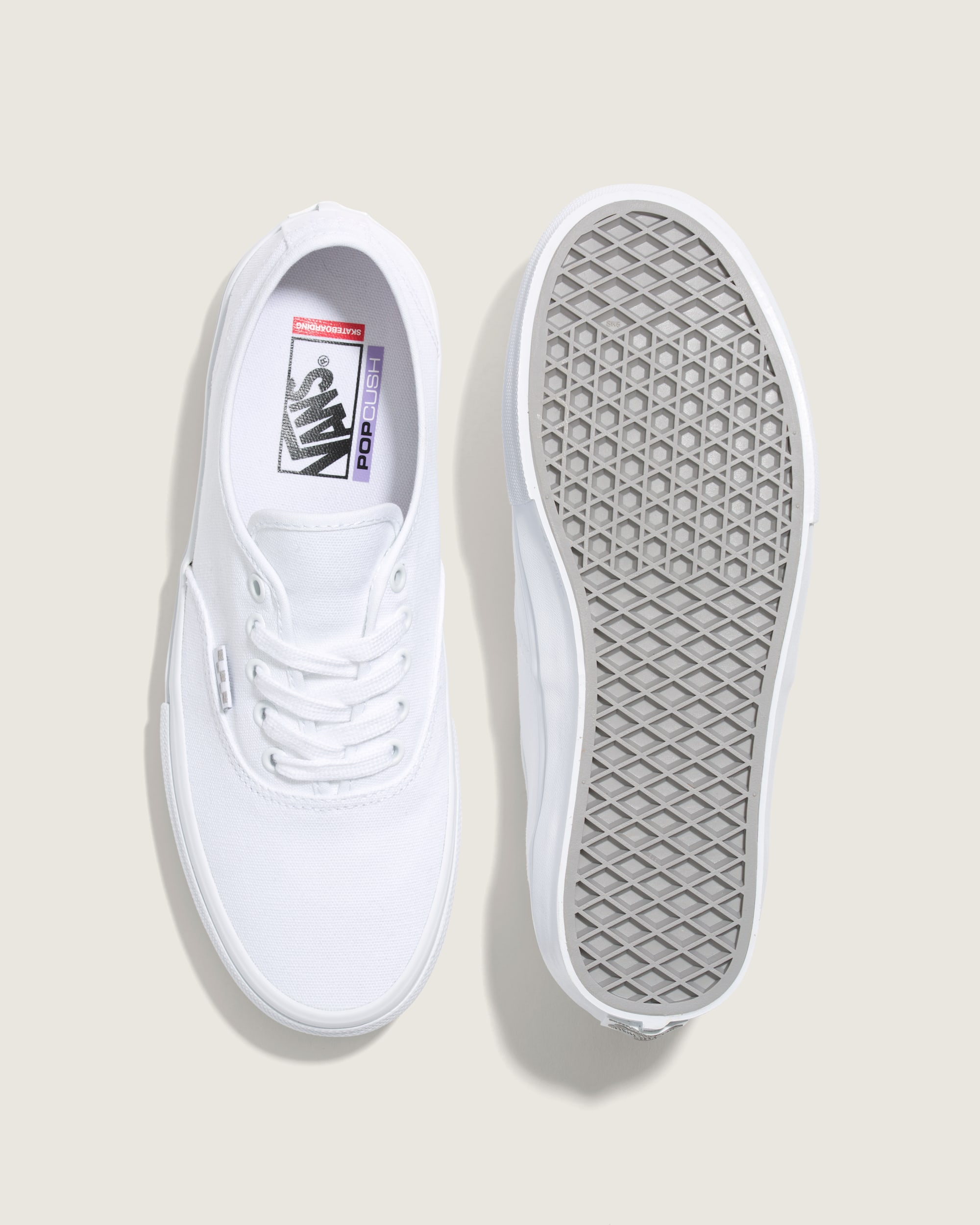 Skate Authentic Shoe VANS True White ALT2