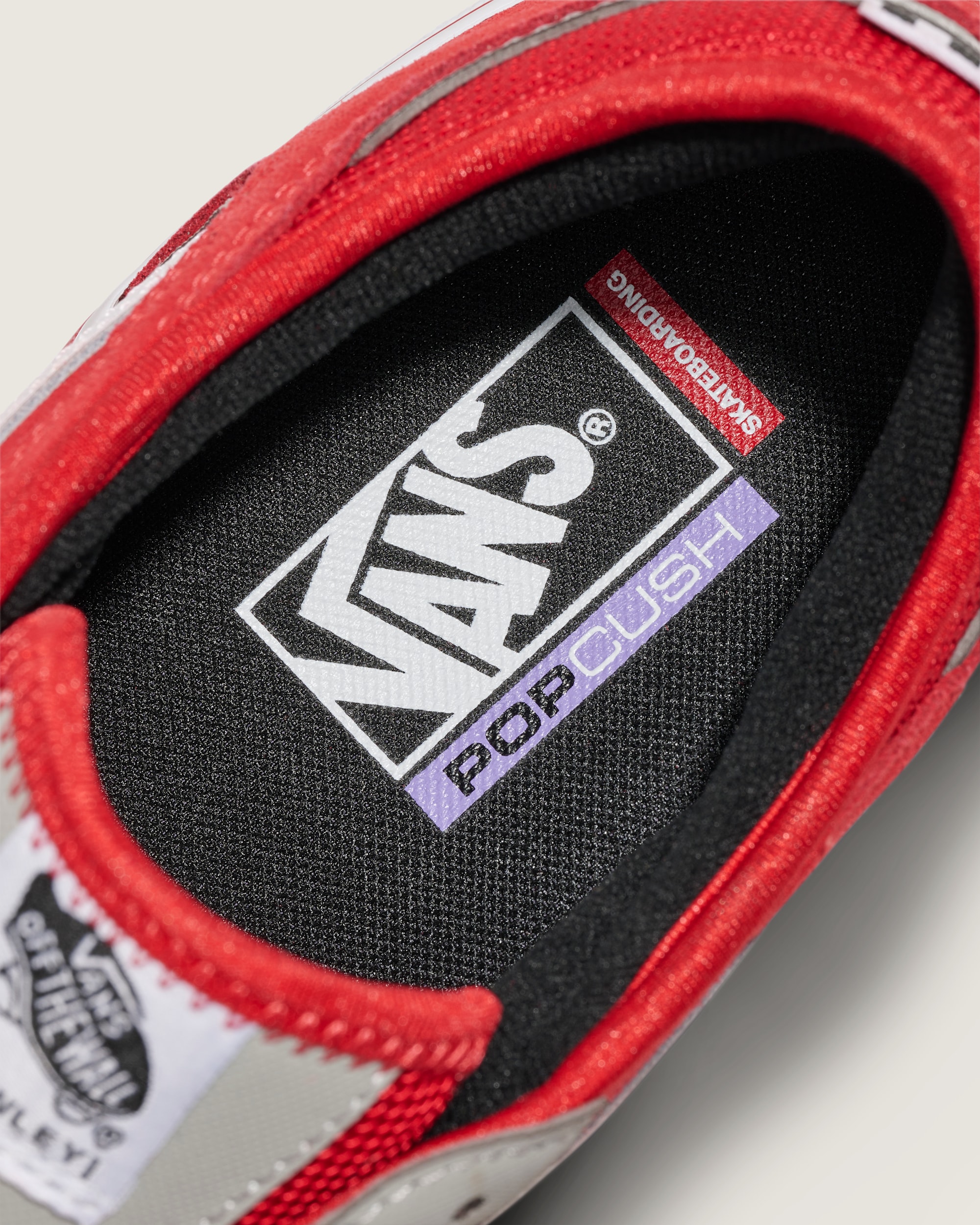 Skate Rowley Shoe VANS Red  Grey ALT4