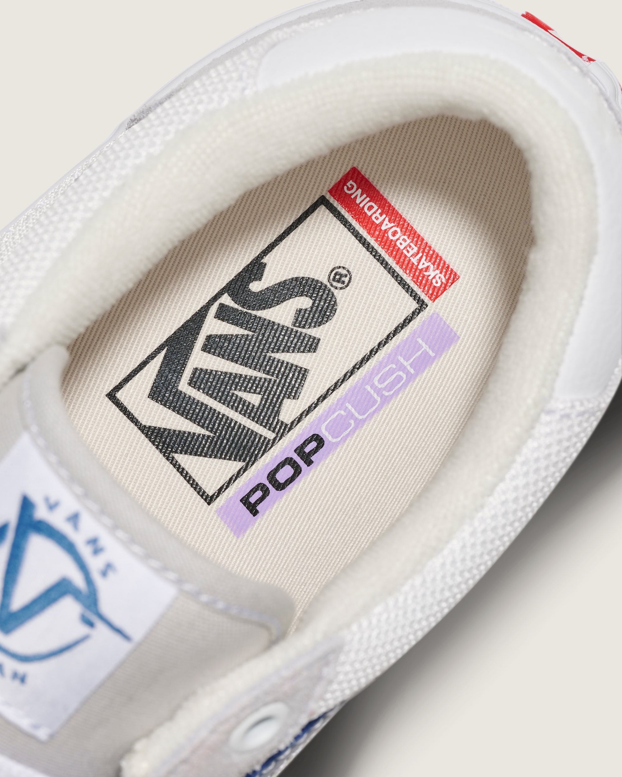 Skate Rowan Shoe VANS Grey  Blue ALT4