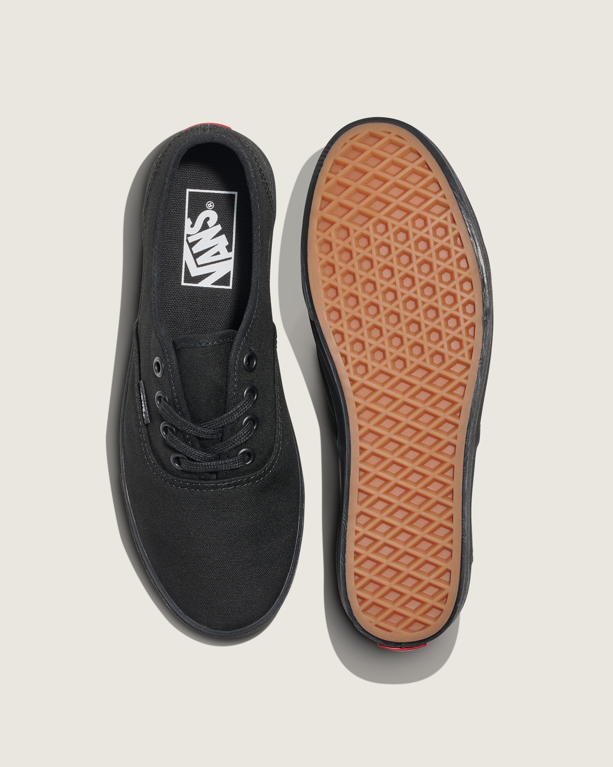 Authentic Lowpro Shoe VANS Black ALT2