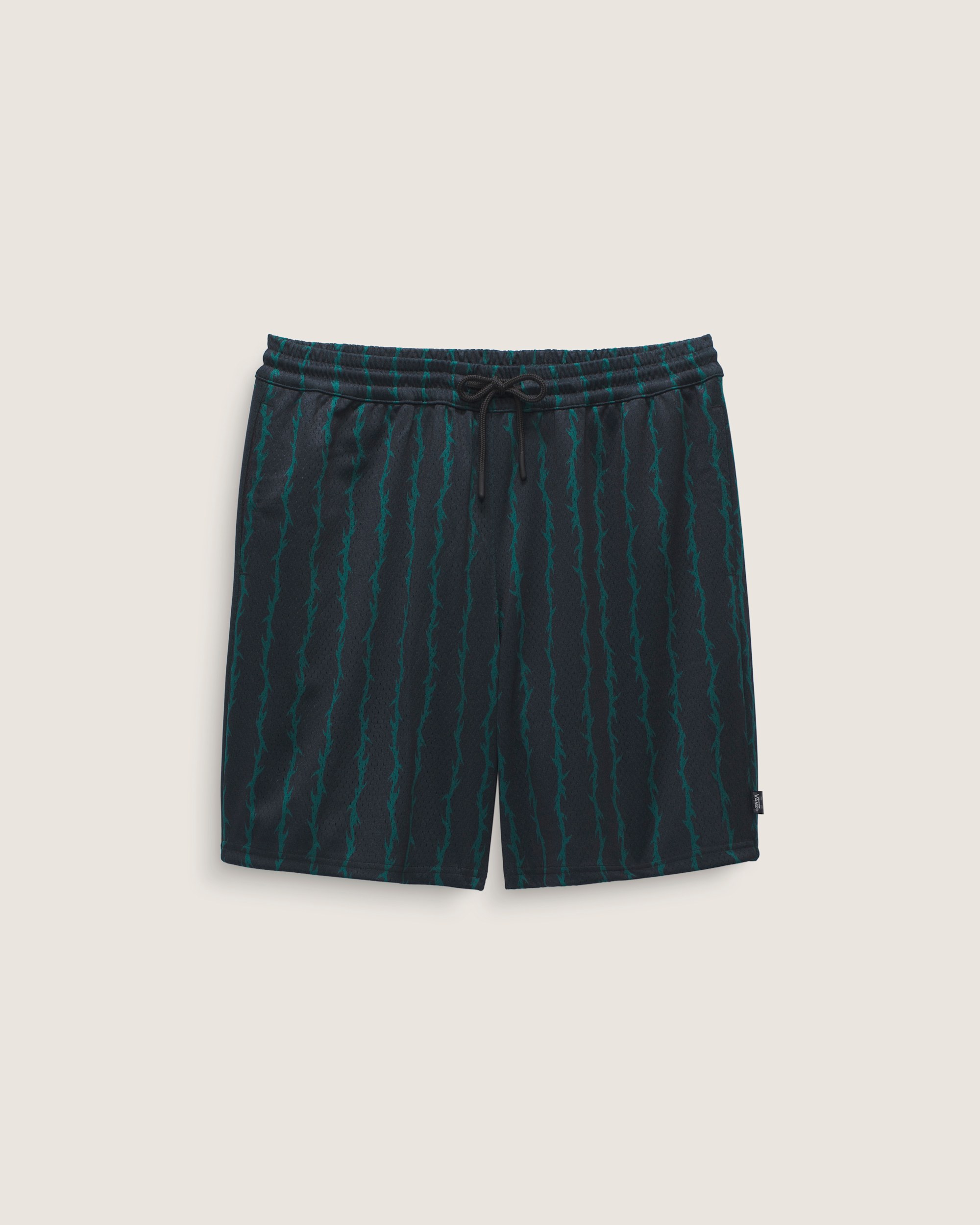 Skate Loose 20 Sport Shorts VANS Black ALT4