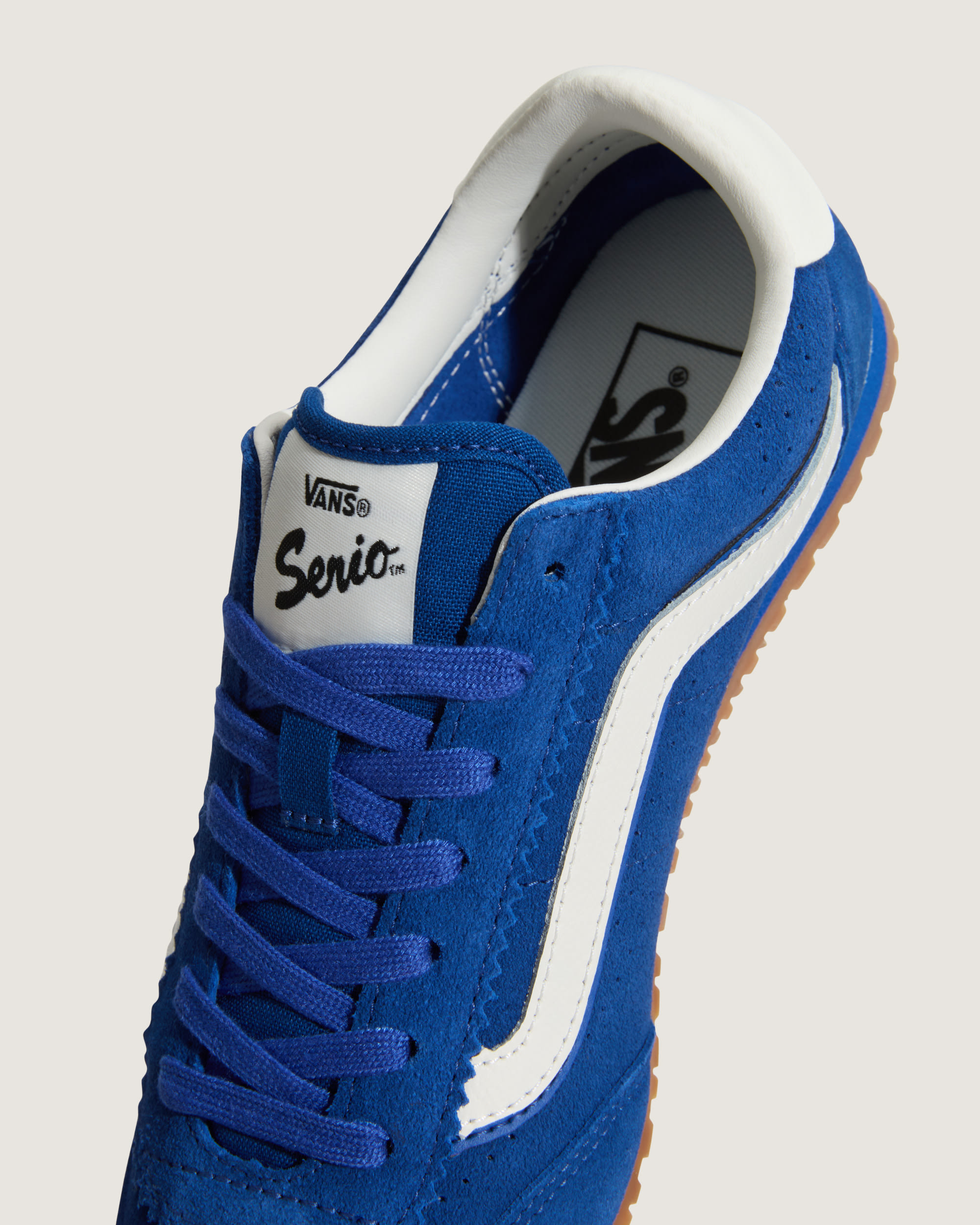 Super Lowpro Shoe VANS True Blue ALT7