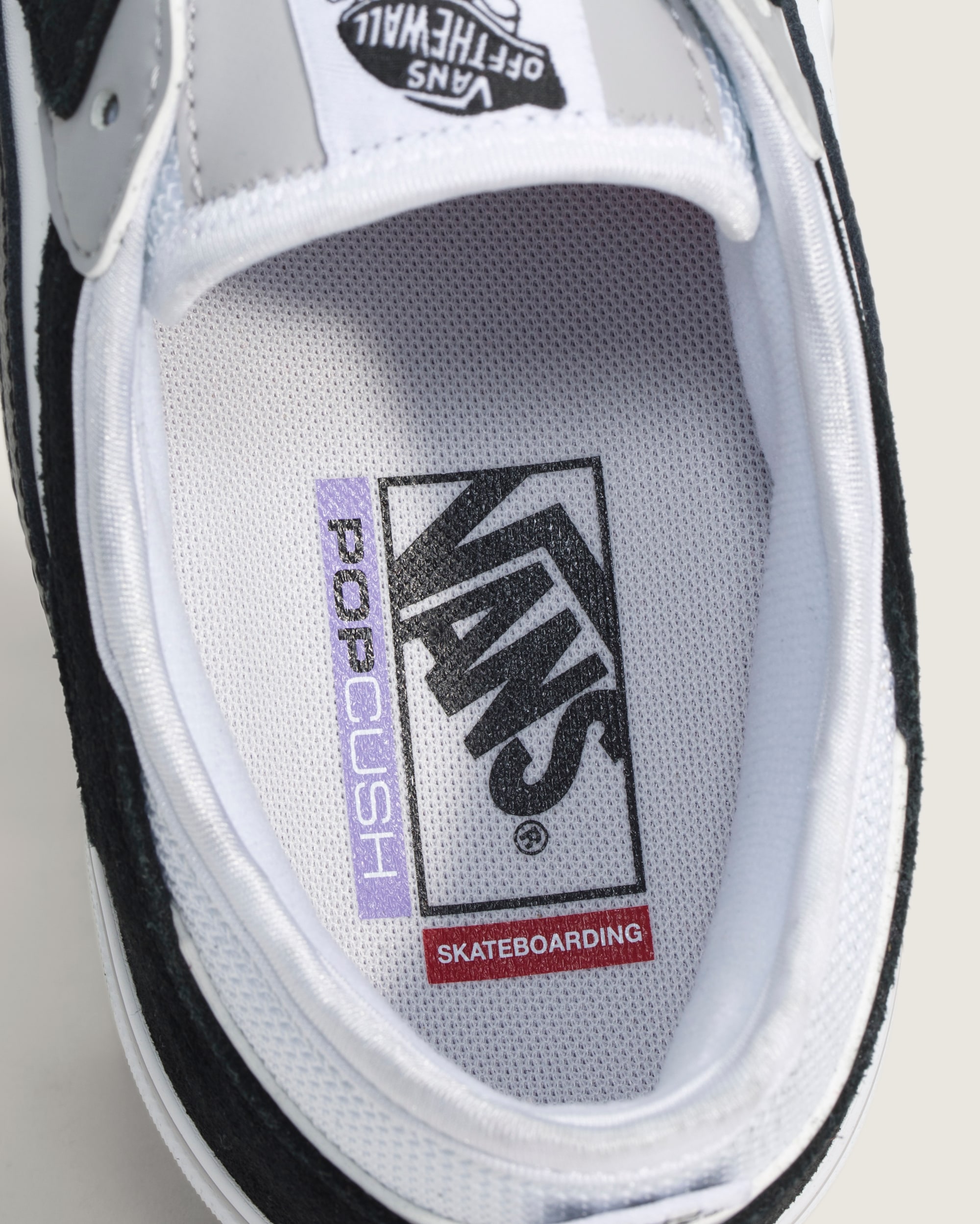 Skate Rowley Shoe VANS Black  White ALT4