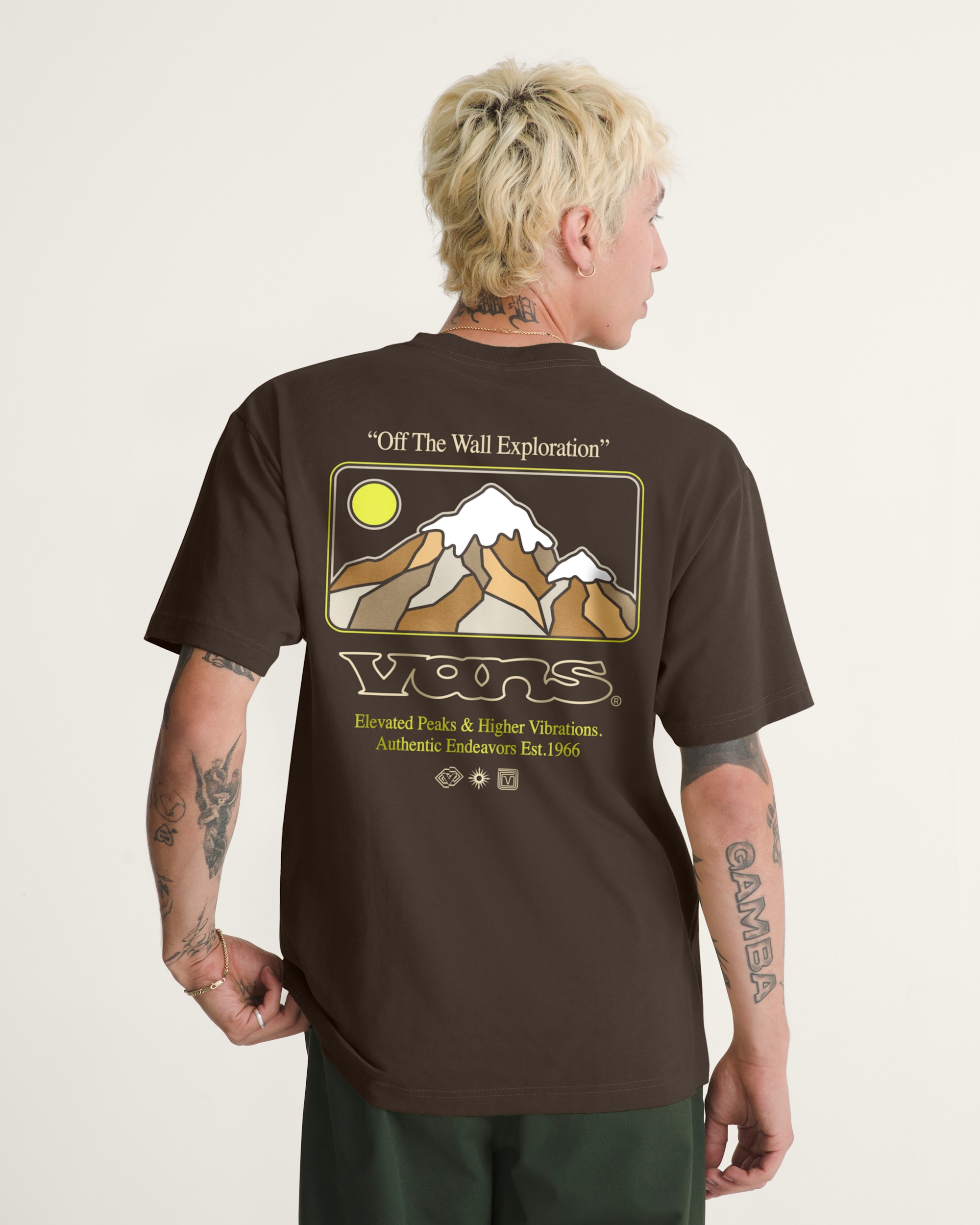 Elevated Peaks TShirt VANS Demitasse Brown ALT2