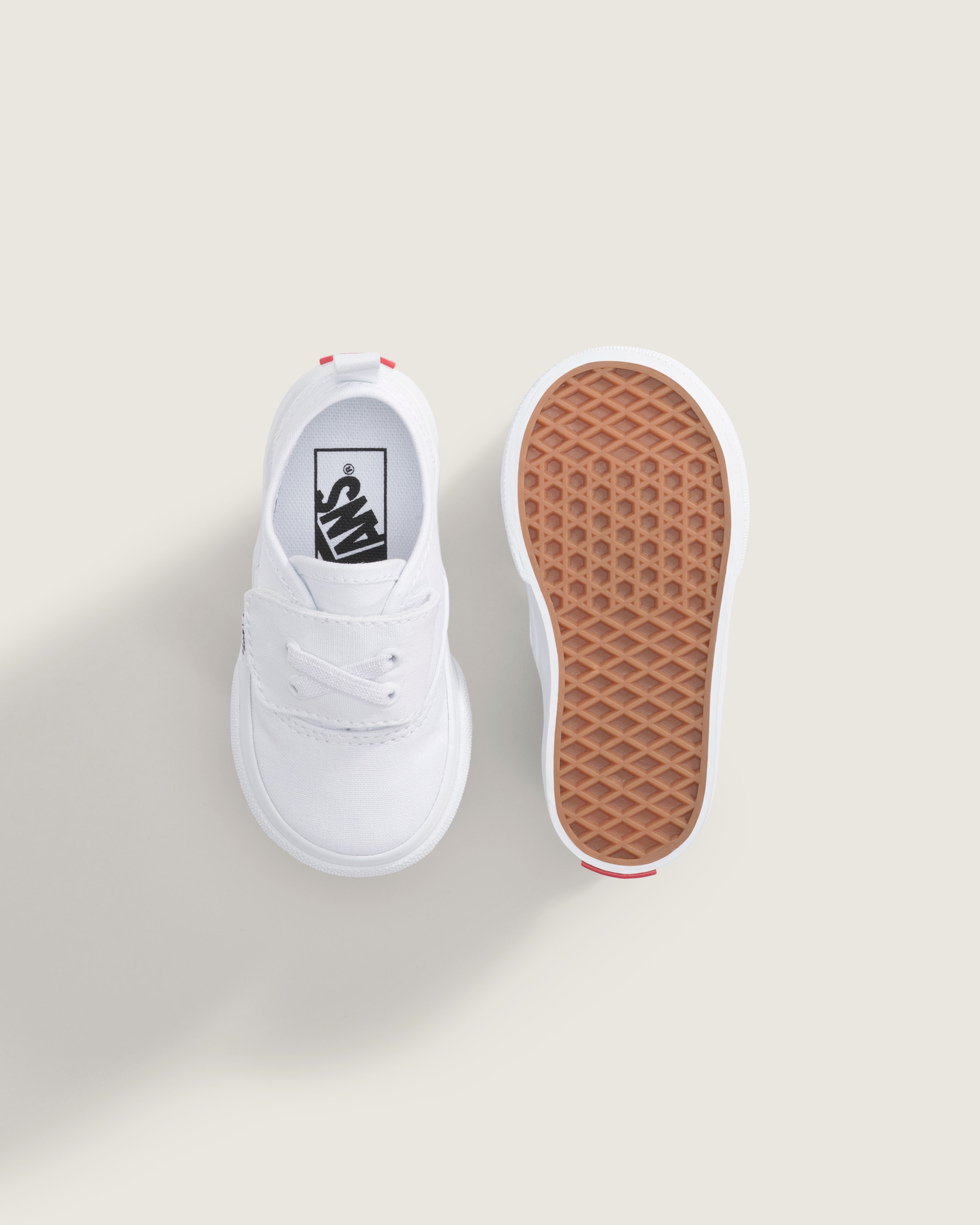 Authentic Elastic V VANS TRUE WHITE ALT2