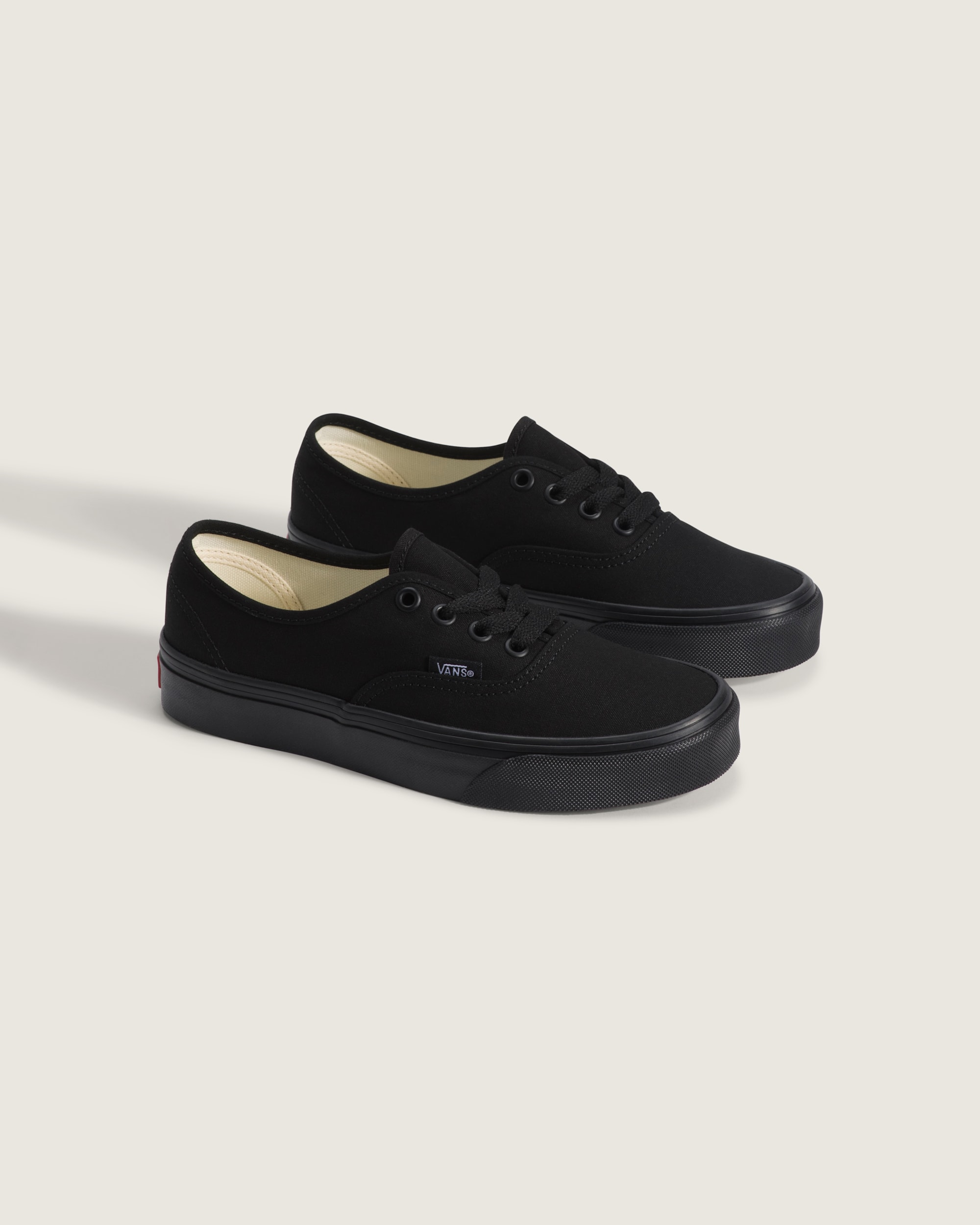 Big Kids Authentic Shoe VANS Blackout ALT1