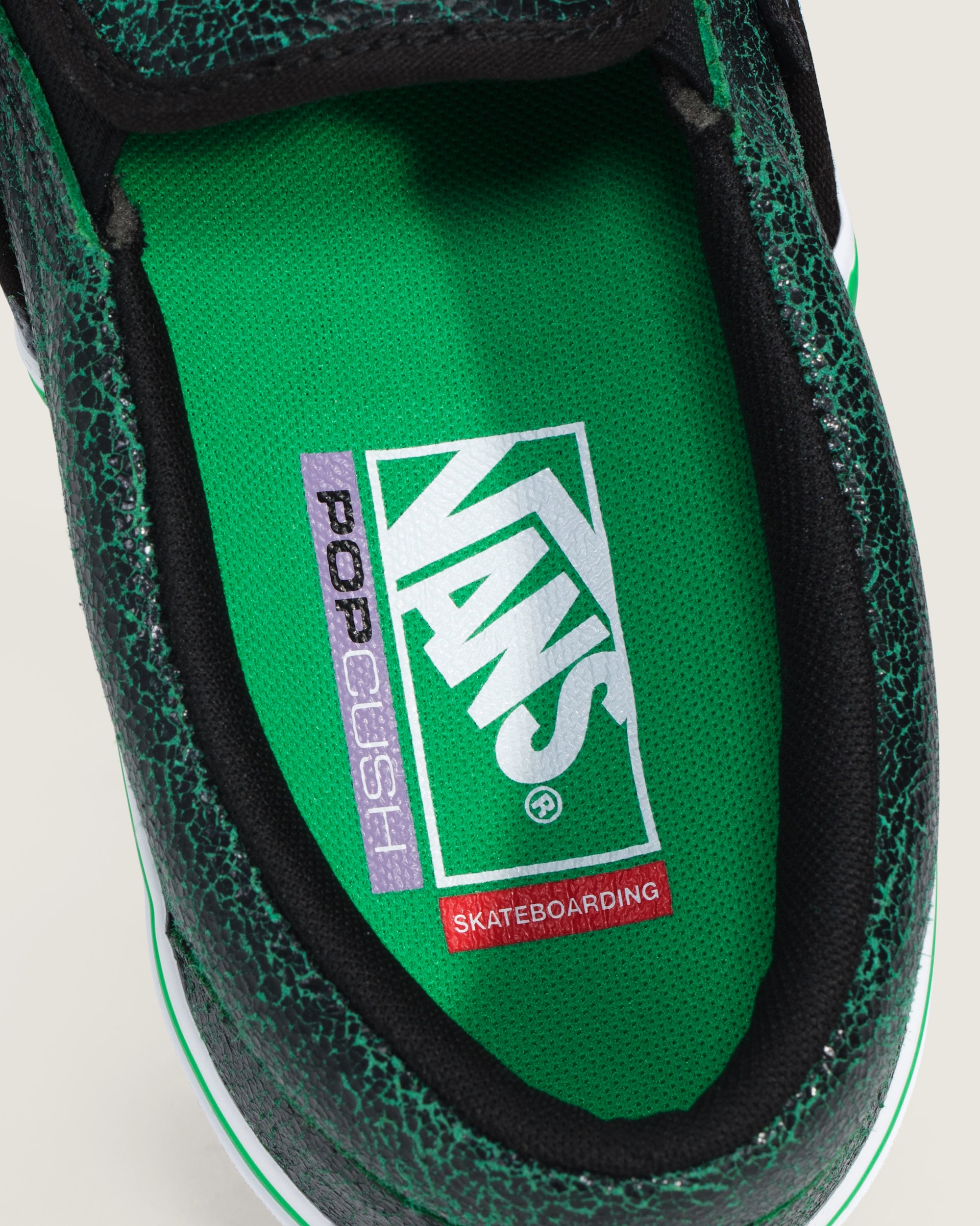 Skate SlipOn Shoe VANS Black  Green ALT4