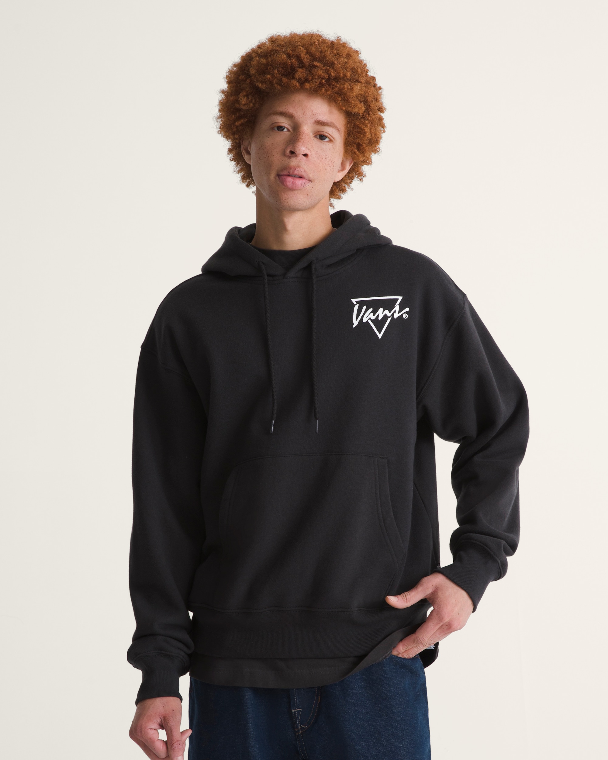 Palm Drive Pullover Hoodie VANS Black ALT2