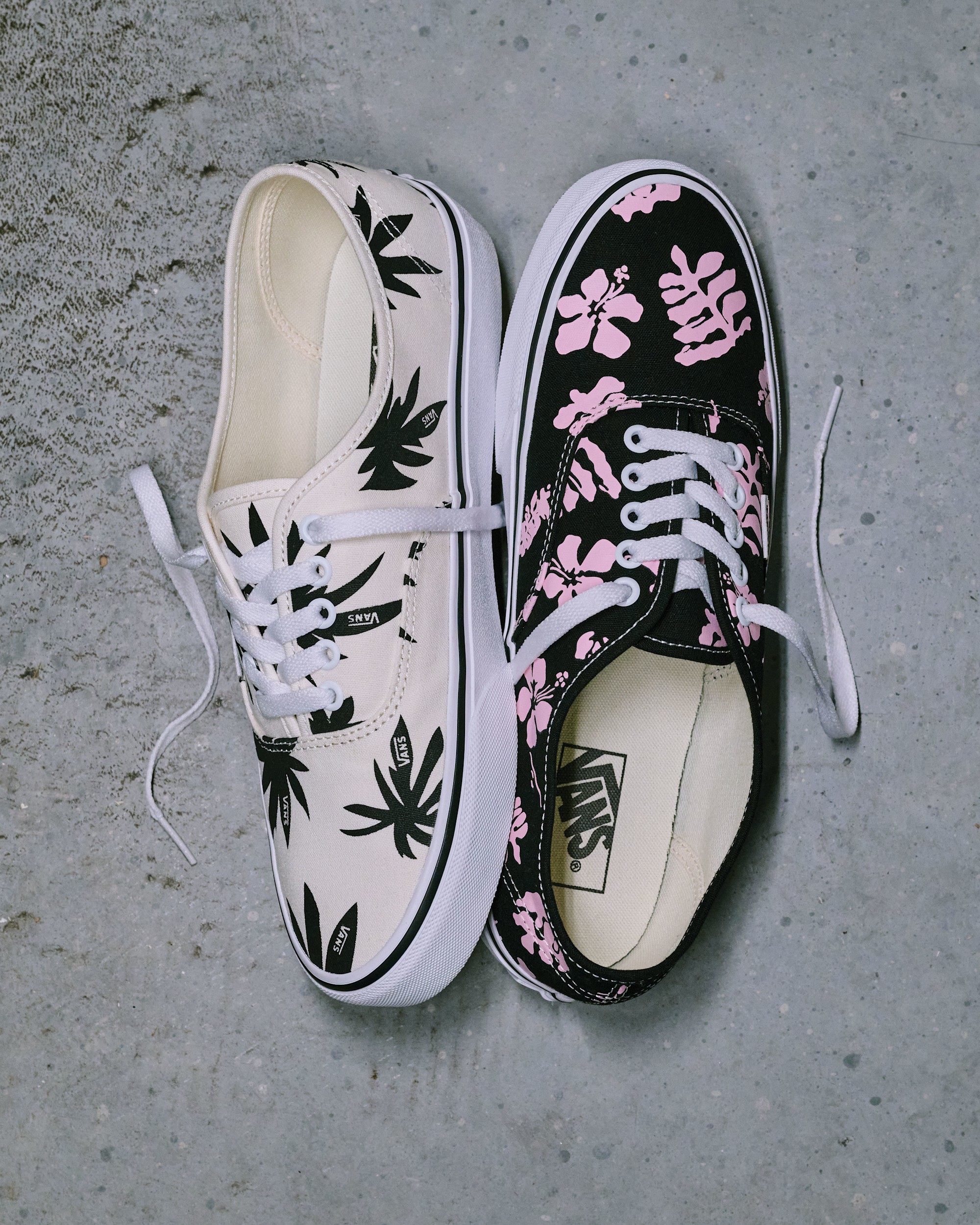Authentic Shoe VANS Marshmallow White  Black ALT6