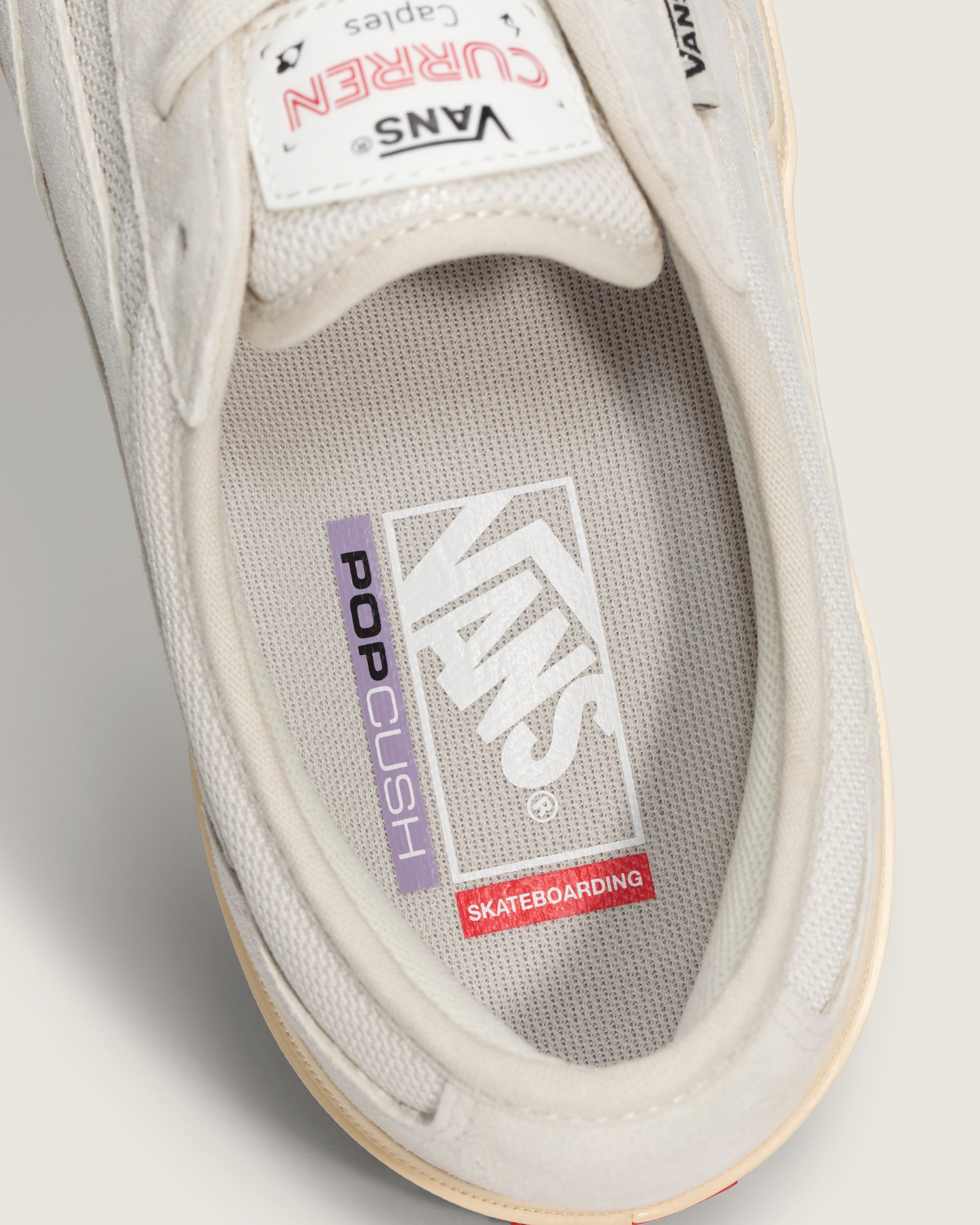 Skate Curren Caples Shoe VANS Turtledove White ALT4