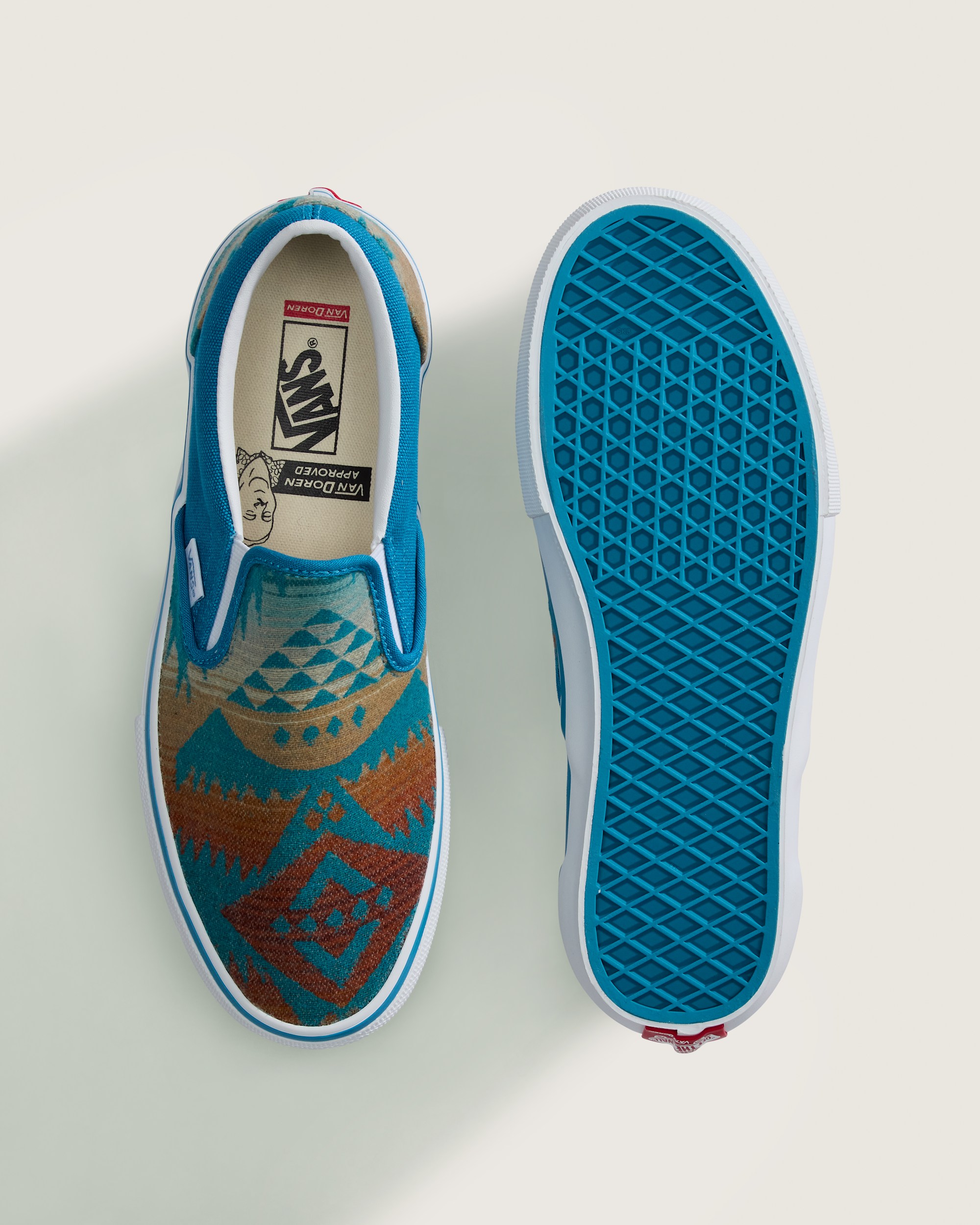 Van Doren Approved x All Nations Skate SlipOn Shoe VANS Blue Moon ALT2