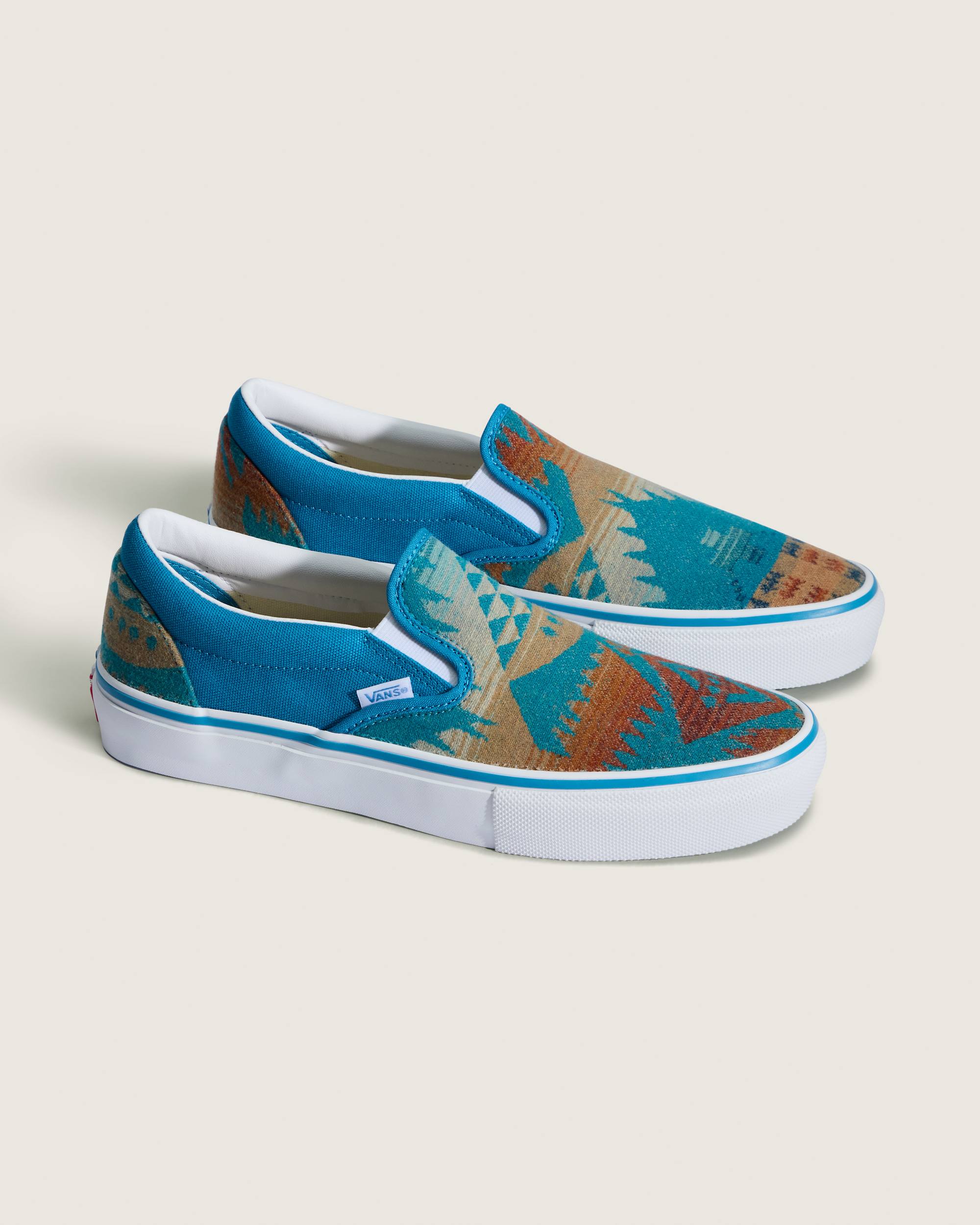 Van Doren Approved x All Nations Skate SlipOn Shoe VANS Blue Moon ALT1