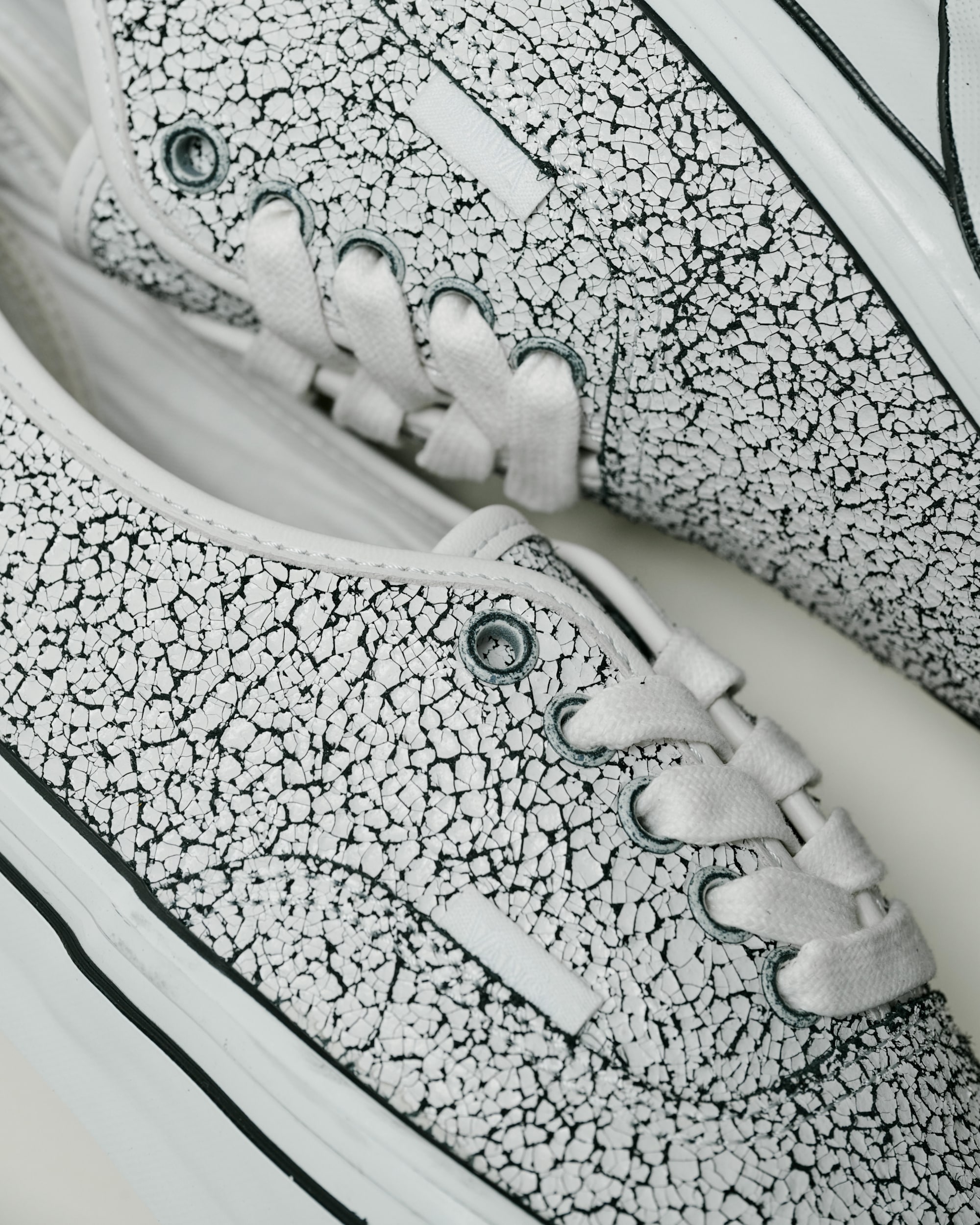 Premium Authentic Shoe VANS Overpaint Blanc De Blanc ALT4