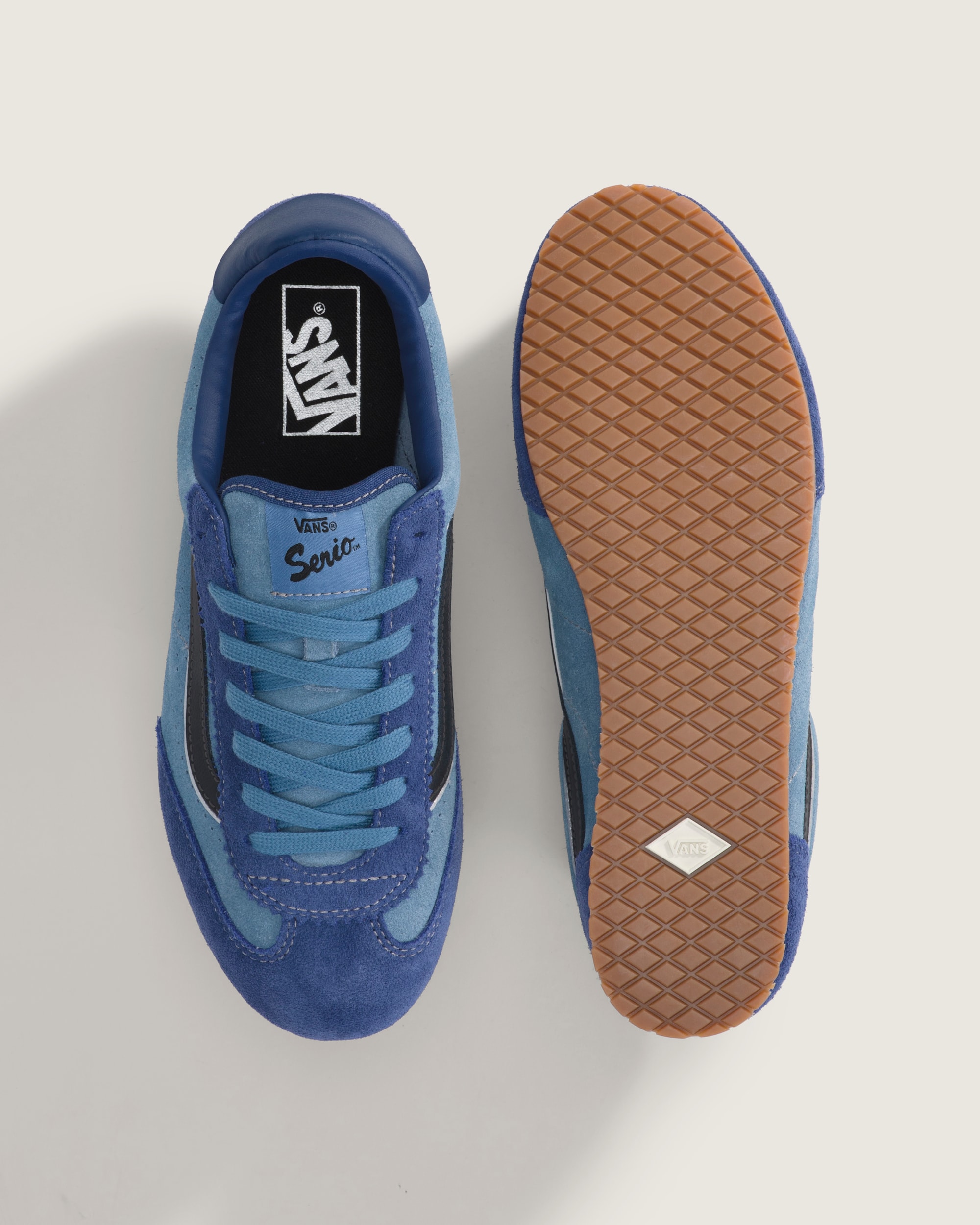 Super Lowpro Shoe VANS Blue ALT2