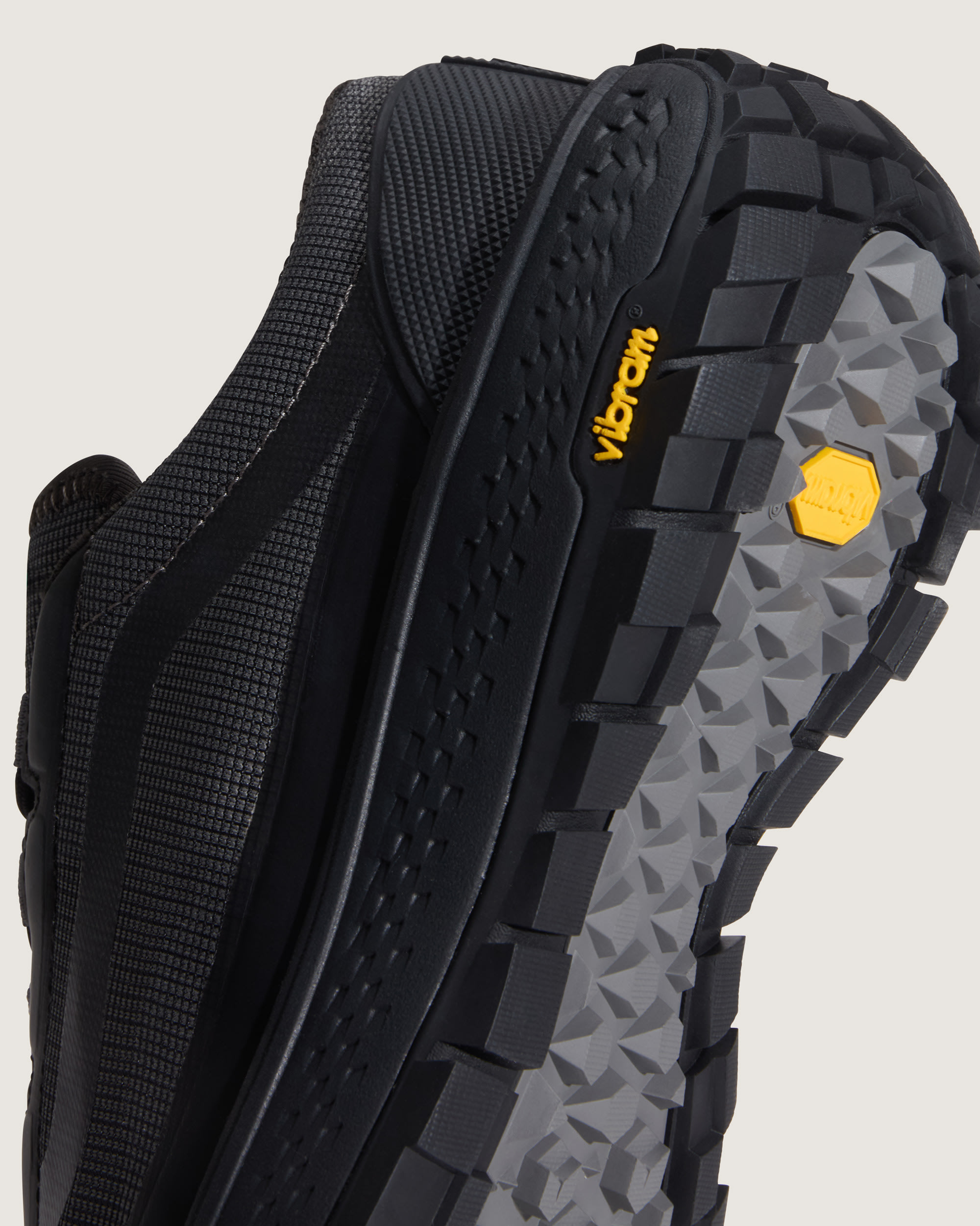 Trail 36 Shoe VANS Black ALT6