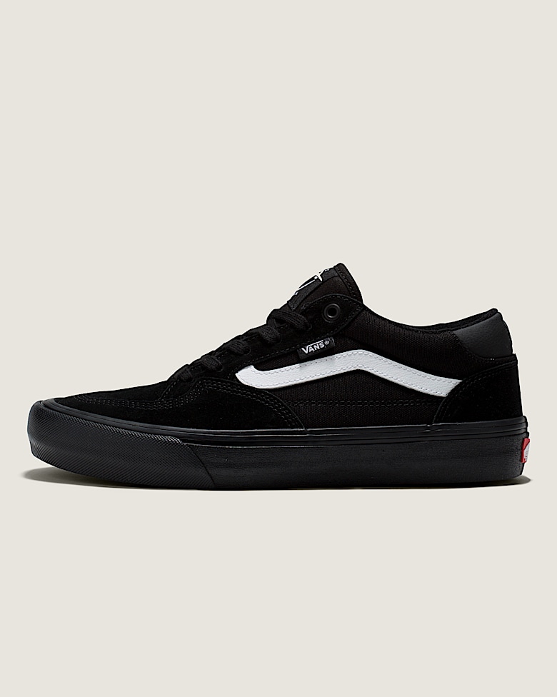 Sk8-Hi Canvas Shoe