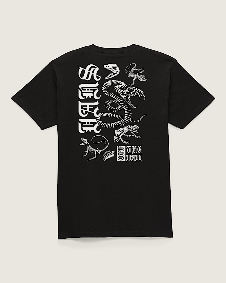 Little Kids Dino Za T-Shirt in Black | Vans