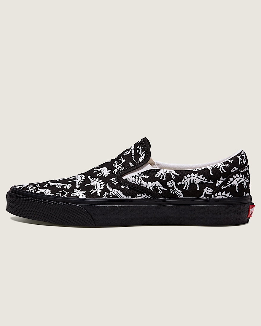 Customs Classic SlipOn Shoe VANS Customs HERO