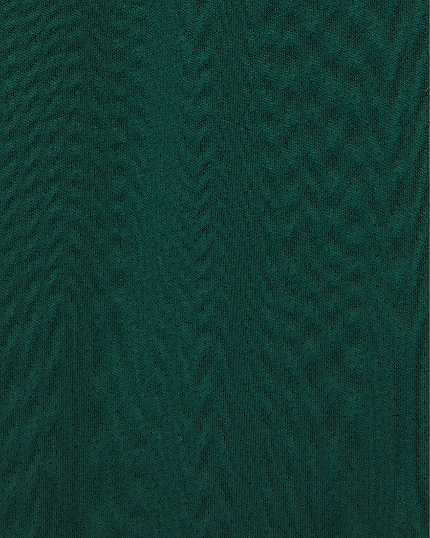 Skate Mesh Polo Shirt VANS Rain Forest Green ALT3