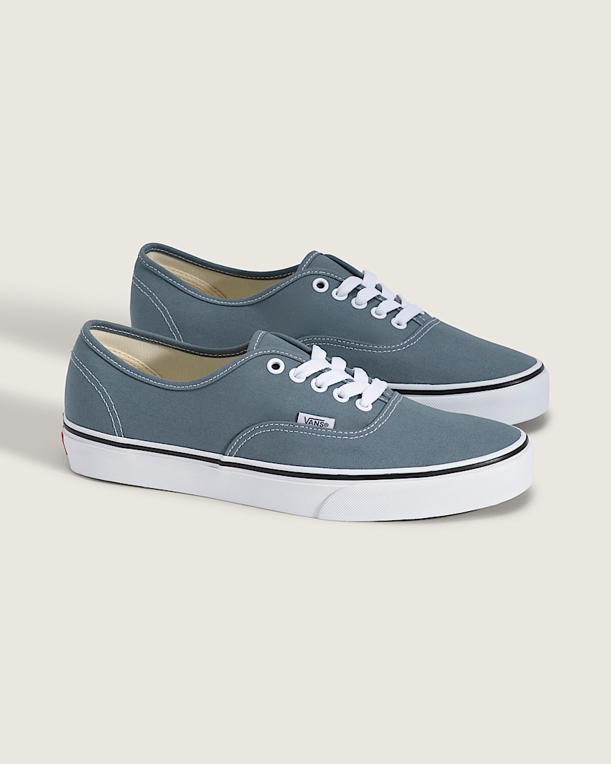 Authentic Shoe VANS Stormy Weather Blue ALT1