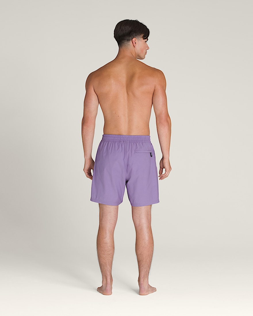 Primary Solid Elastic 17 Boardshorts VANS Purple Haze ALT2