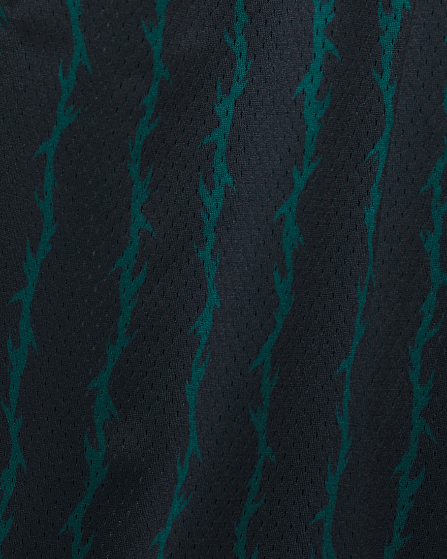 Skate Loose 20 Sport Shorts VANS Black ALT5