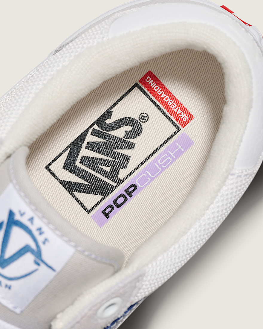 Skate Rowan Shoe VANS Grey  Blue ALT4