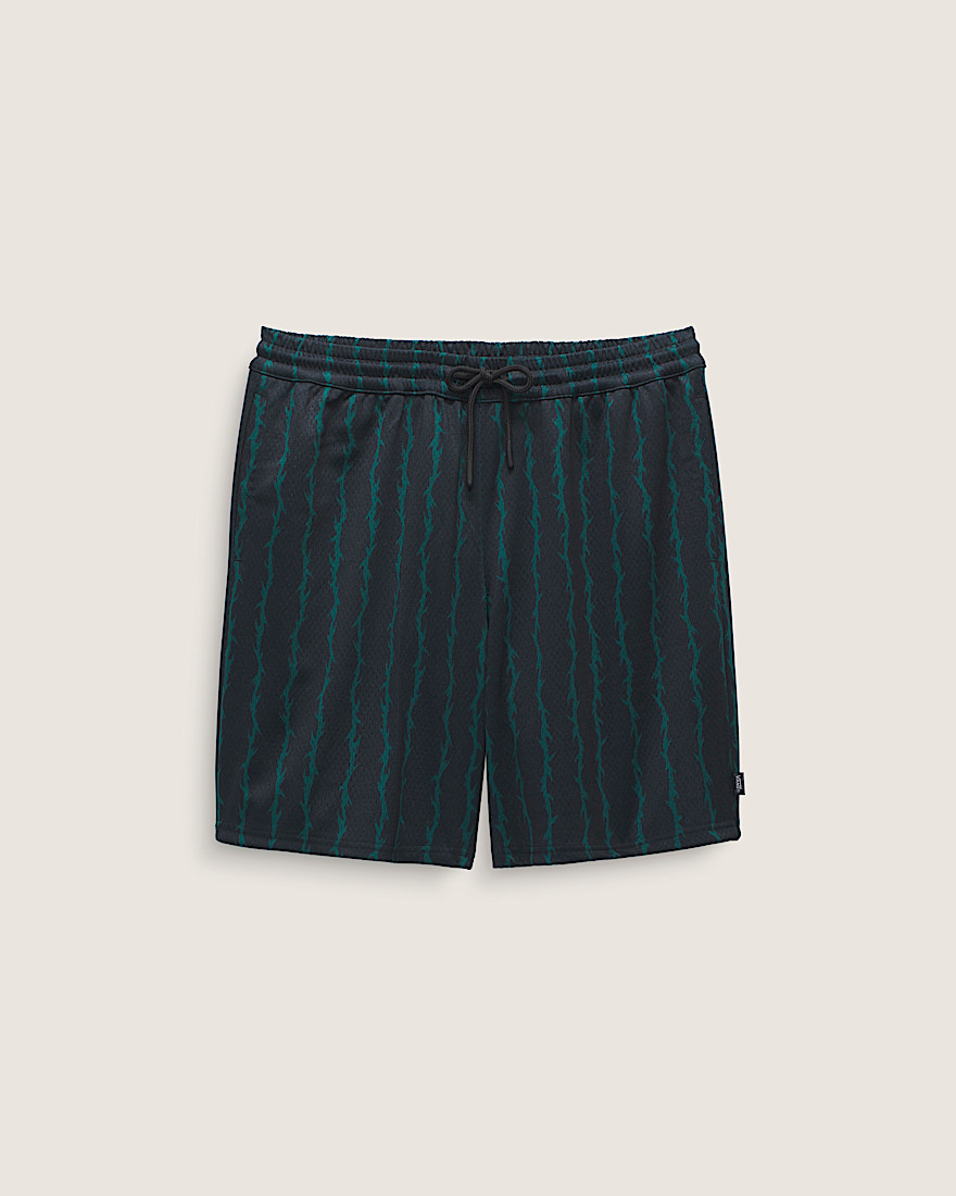 Skate Loose 20 Sport Shorts VANS Black ALT4