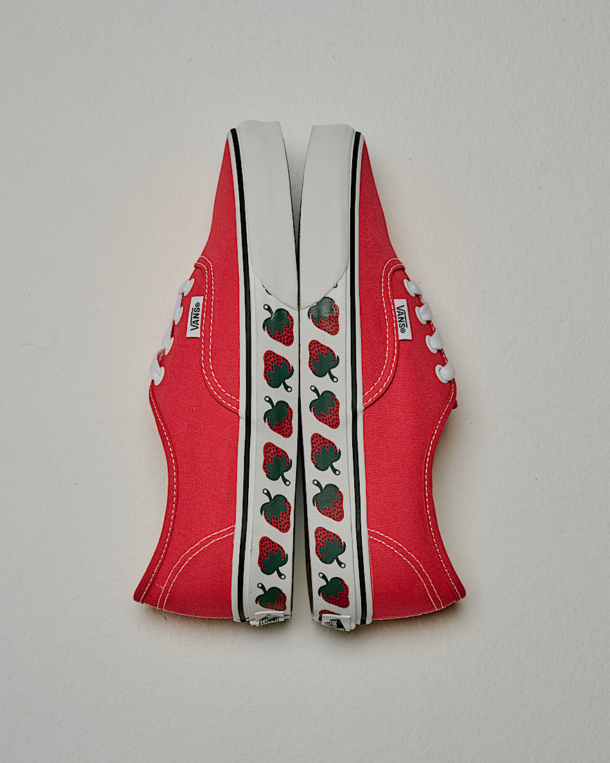 Authentic Shoe VANS Crimson Haze Red ALT5