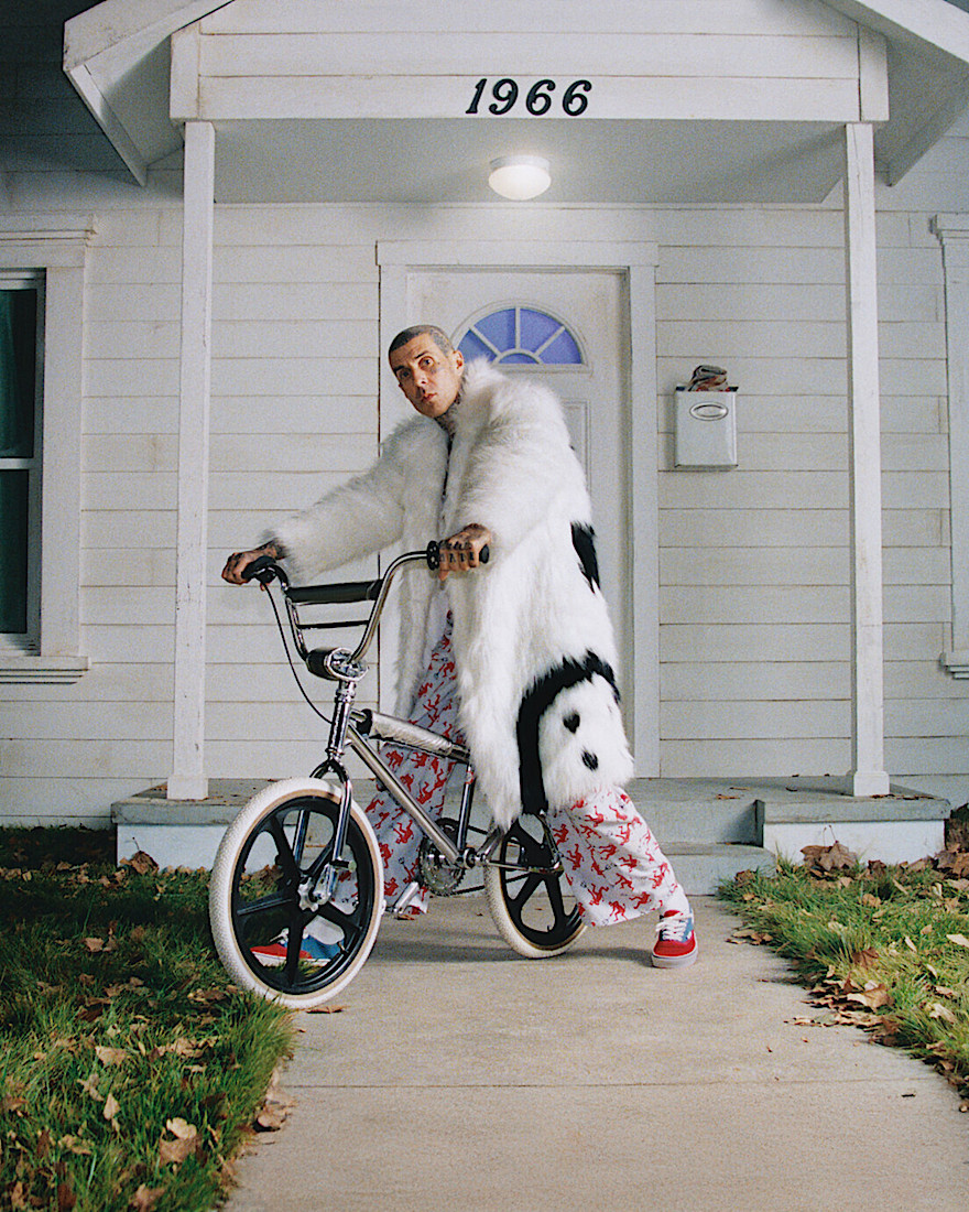 Authentic Shoe VANS Racing Red ALT1