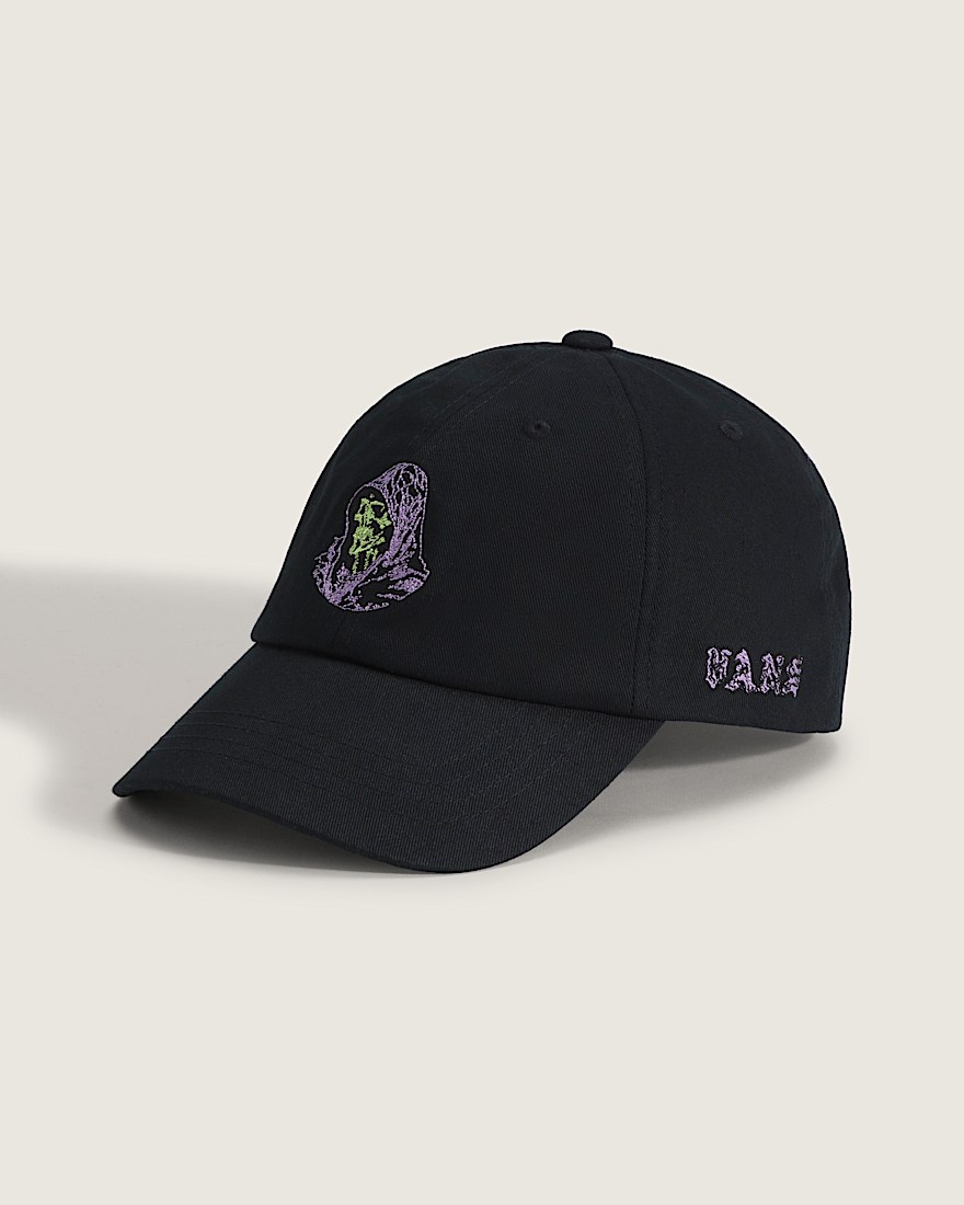 Webbed Reaper Curved Bill Jockey Hat VANS Black HERO