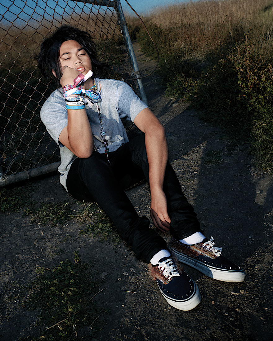 Premium Authentic Shoe VANS Black  Multi ALT8