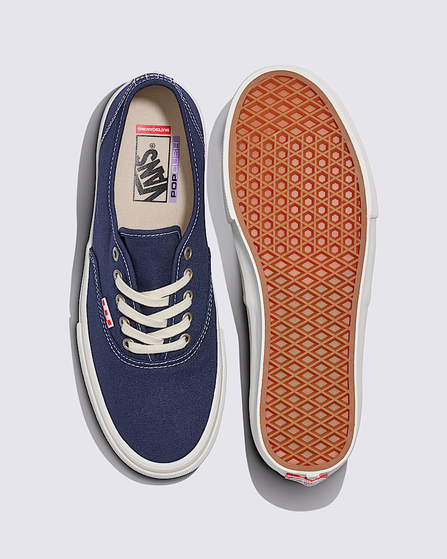 Skate Authentic Shoe