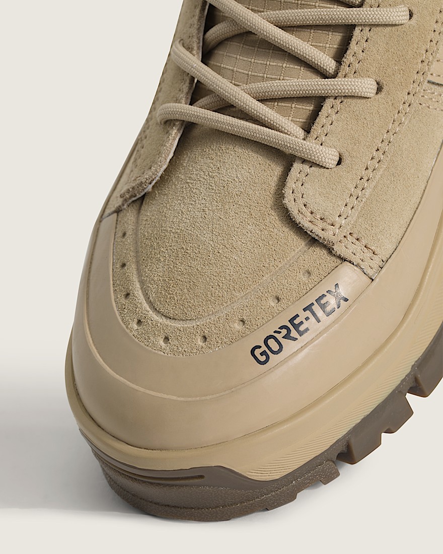 Sk8-Hi GORE-TEX Insulated Shoe