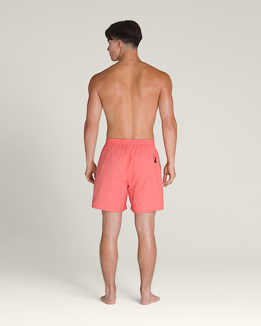 Primary Solid Elastic 17'' Boardshorts