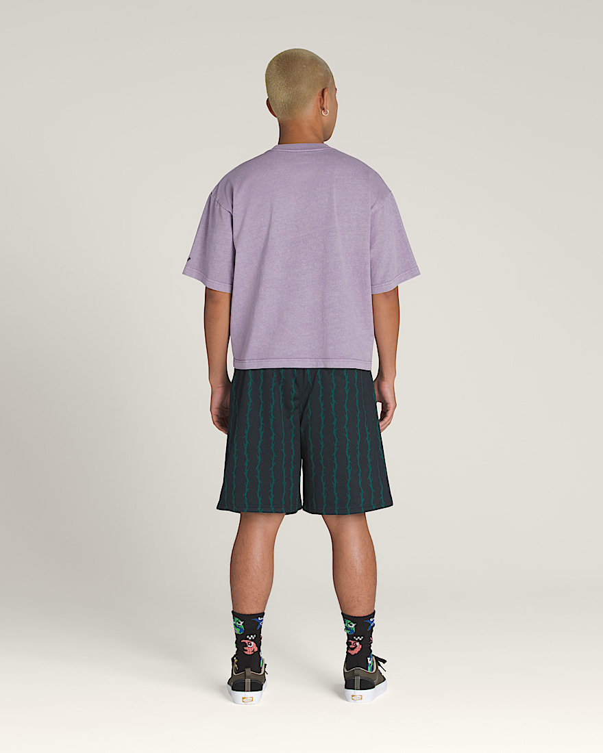 Skate Loose 20'' Sport Shorts