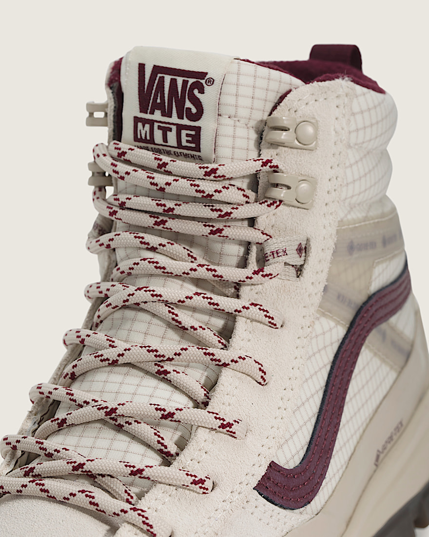 Sk8-Hi GORE-TEX Insulated Shoe