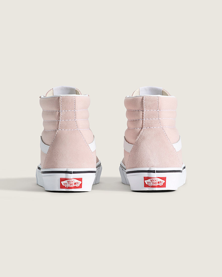 Big Kids SK8-Hi Shoe