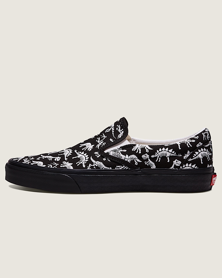 Customs Classic SlipOn Shoe VANS Customs HERO