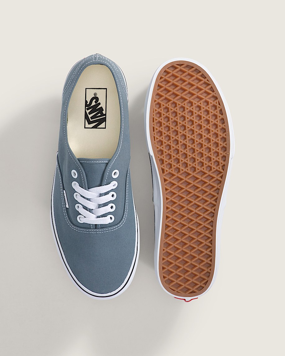 Authentic Shoe VANS Stormy Weather Blue ALT2