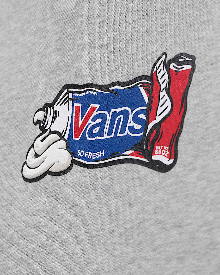 Kids Fresh Pullover Hoodie VANS Heather Grey ALT5