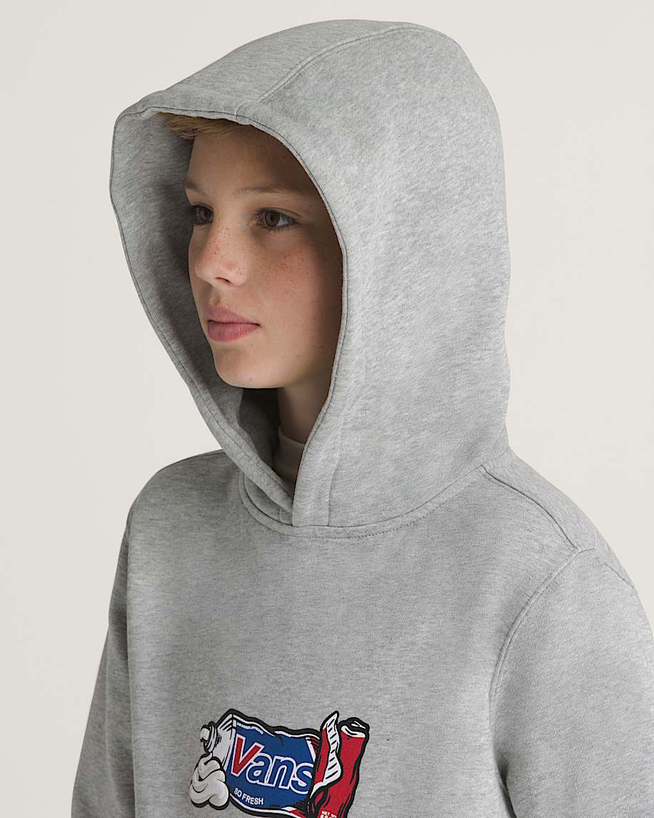 Kids Fresh Pullover Hoodie VANS Heather Grey ALT3