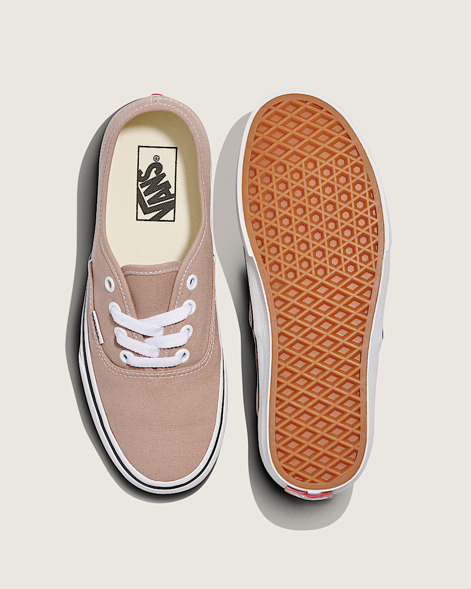 Authentic Shoe VANS Warm Taupe Brown ALT2