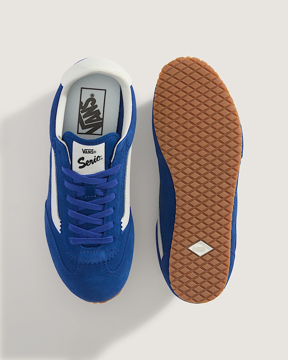 Super Lowpro Shoe VANS True Blue ALT4