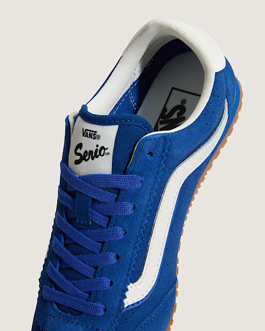 Super Lowpro Shoe VANS True Blue ALT7