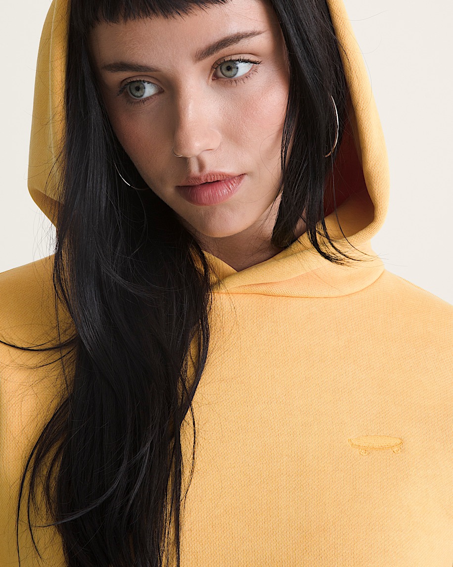 Chandail molletonn  enfiler Salton dlav VANS Noir Spikes ALT4