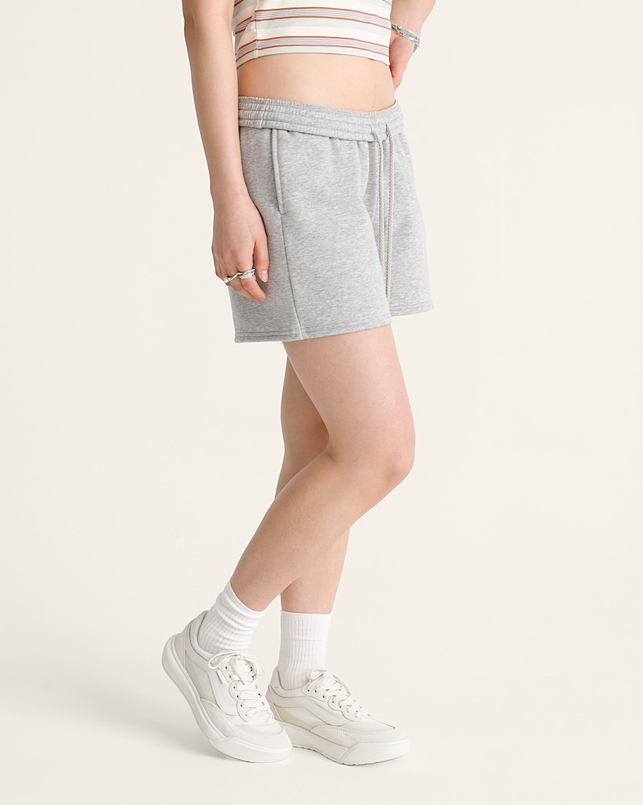 Salton Fleece Short VANS Cement Heather Grey ALT5